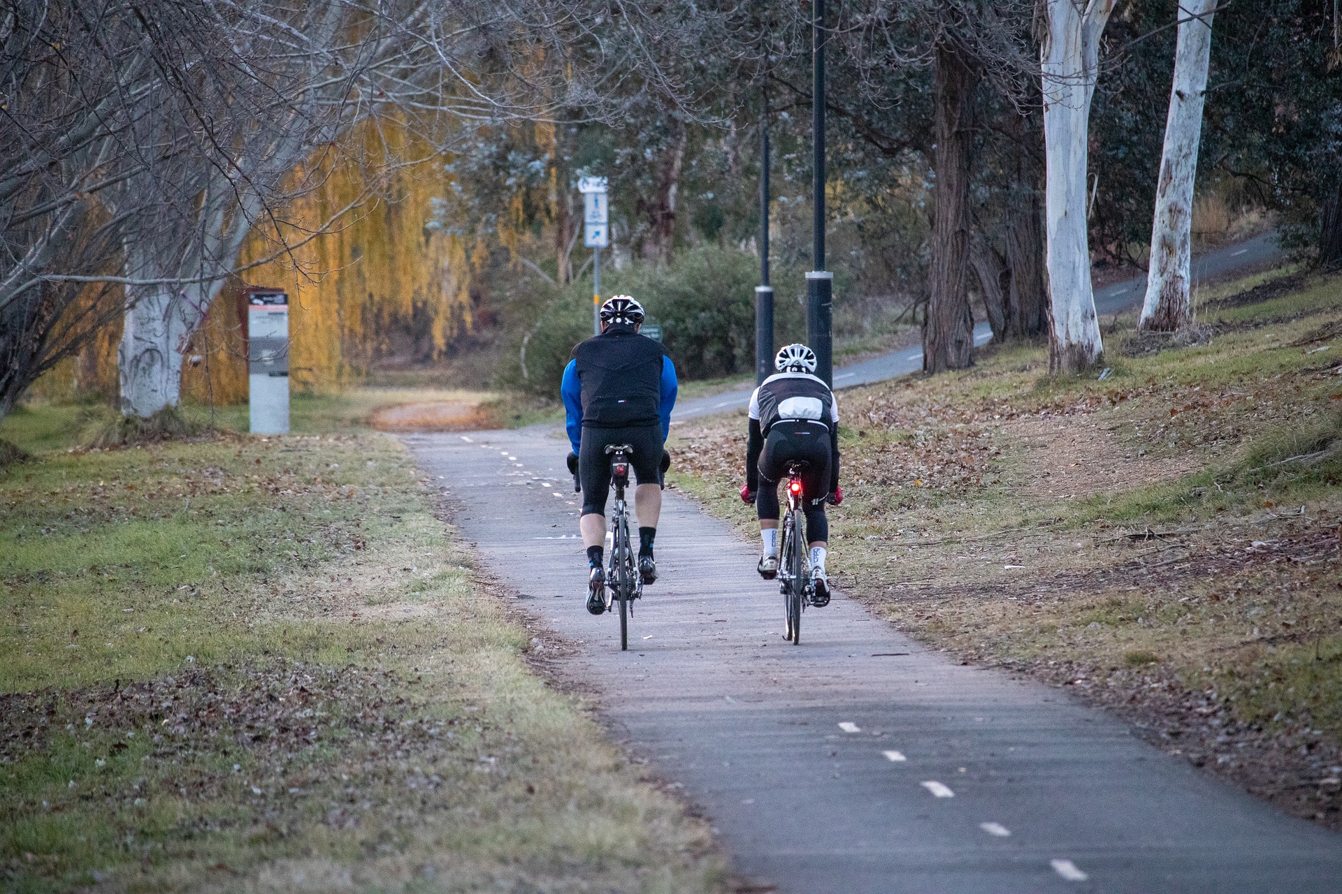 cycling-3466004_1920