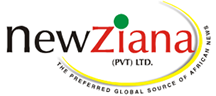 Plans underway to appoint New Ziana board