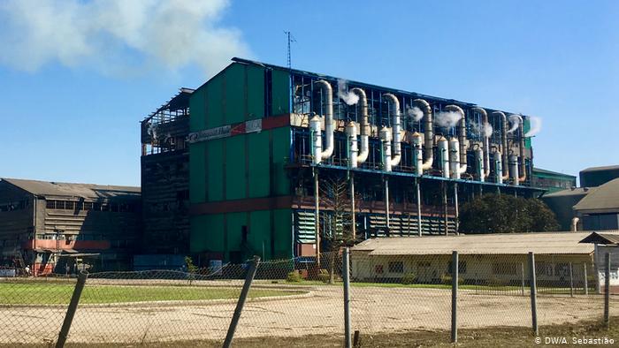 New management for Tongaat Hullet in Mozambique