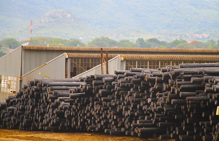 Border Timbers
