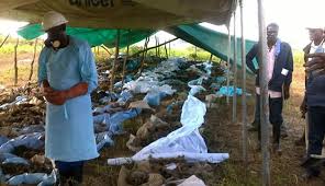 exhumations