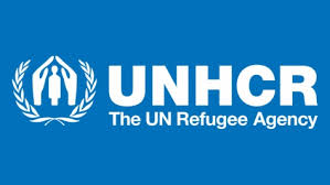 UNHCR hails Zim for embracing fight against statelessness