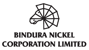 Exchange rate gains up BNC profits