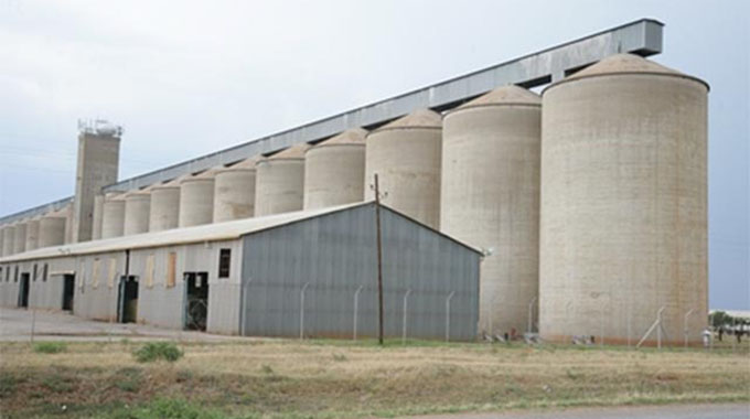 Maize