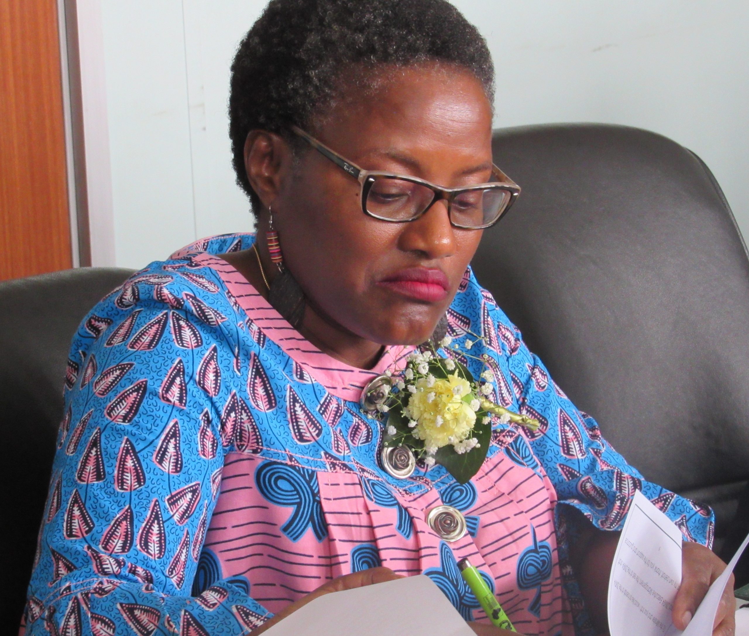 AfCFTA poses no revenue risk – Zimra