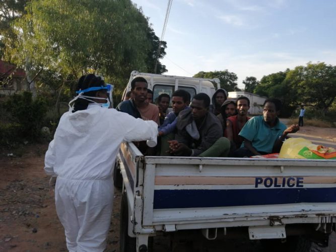 Illegal Ethiopians immigrants nabbed in Gwanda