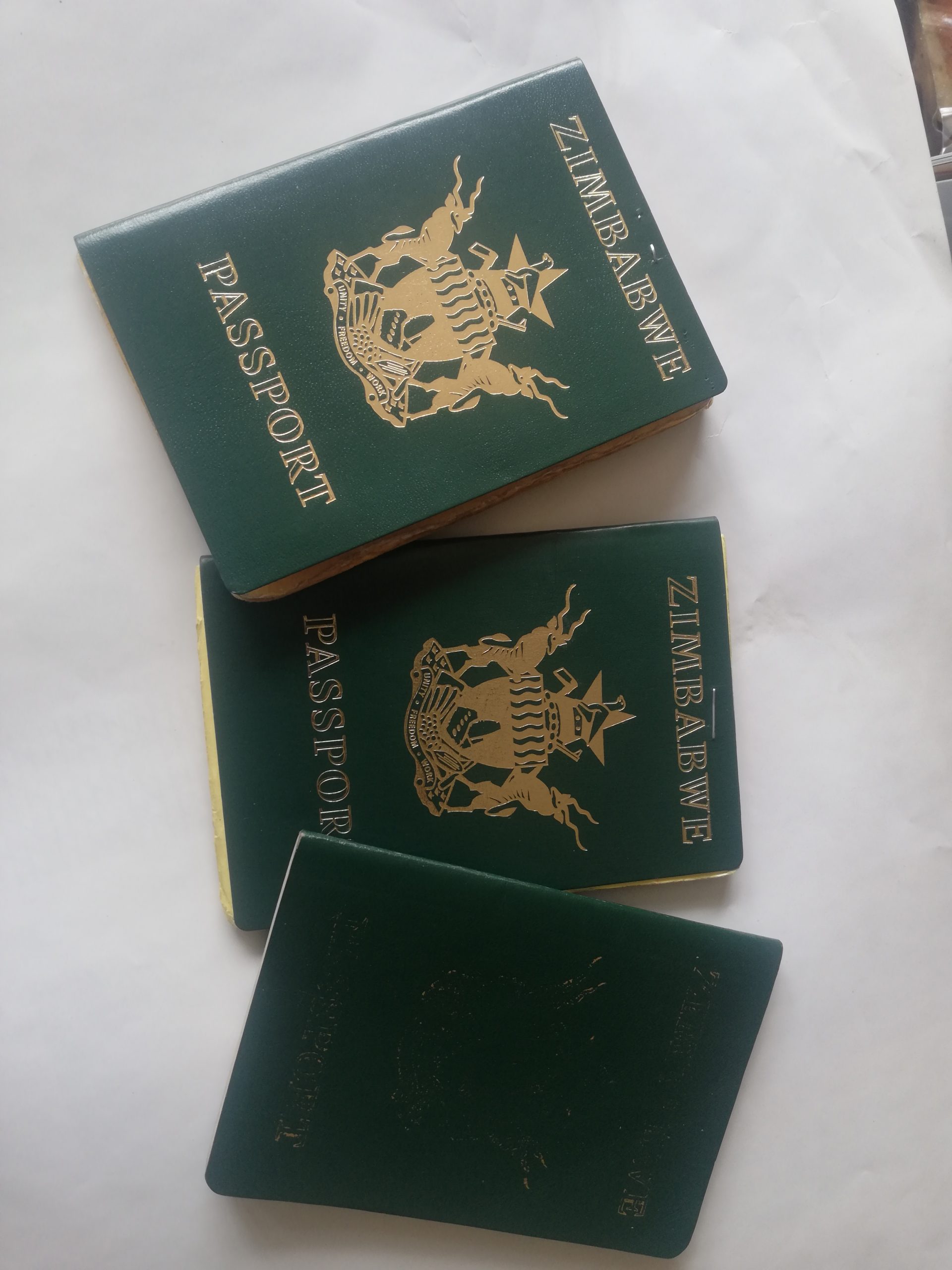Zim speaks on discontinuation of exemption permits by SA