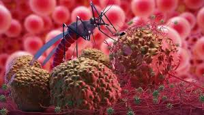 Malaria patient tests positive for Covid-19