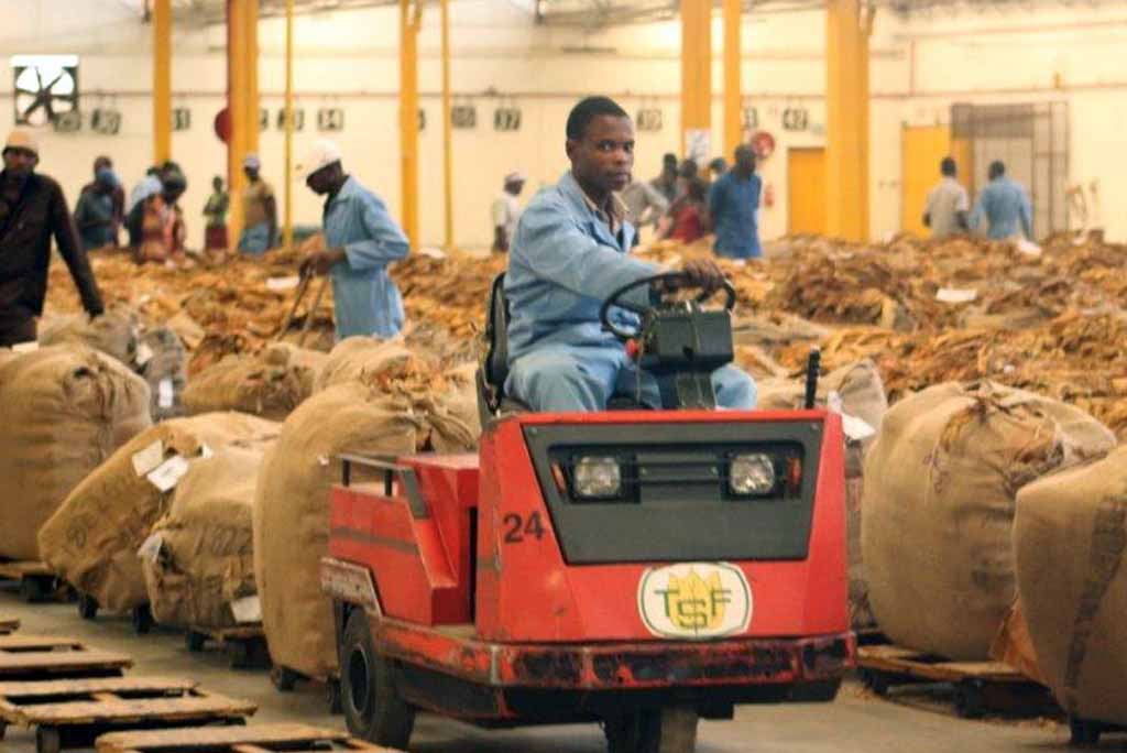 Tobacco sales gross US$137mln
