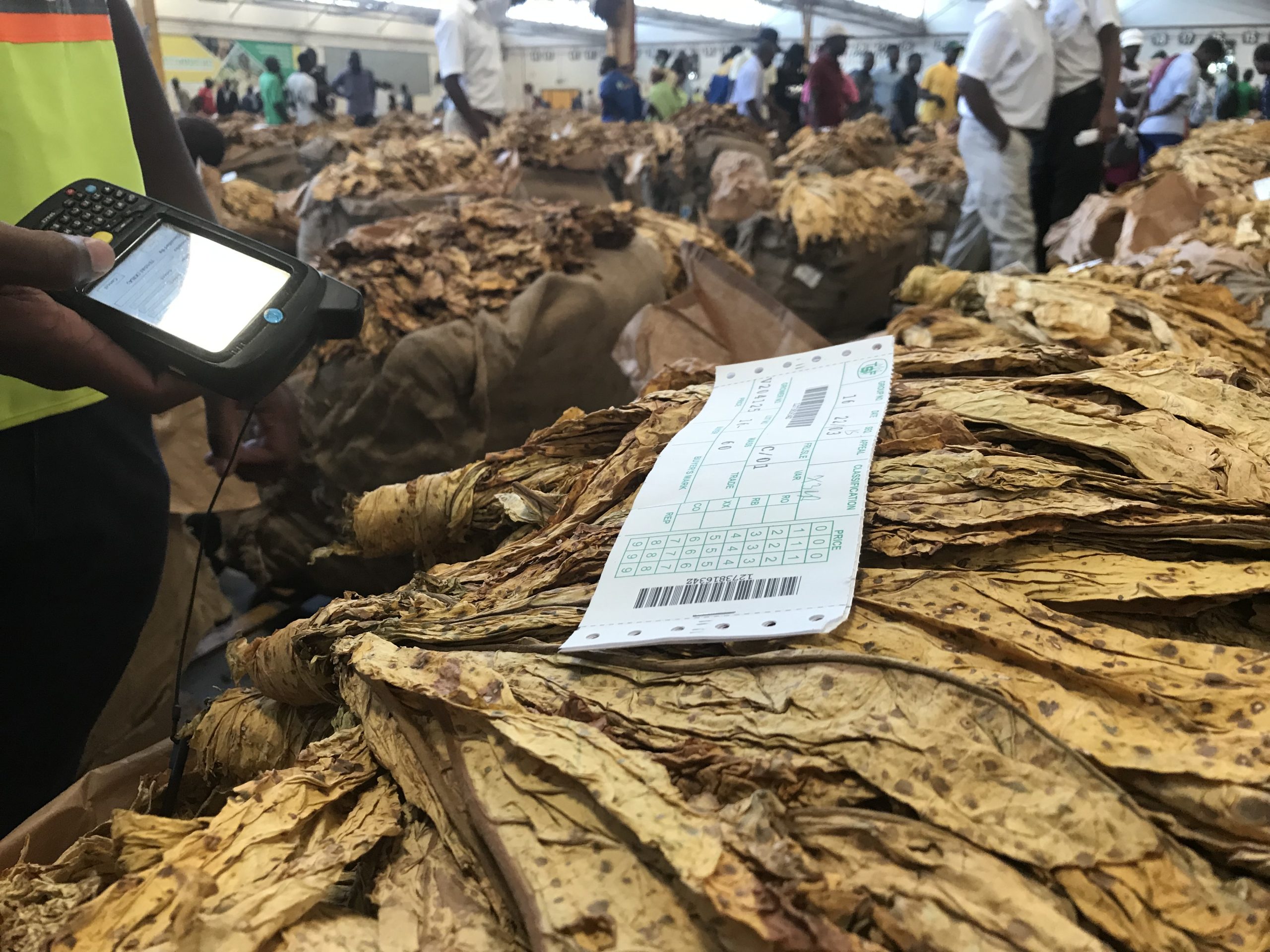 Nearly 100 million kilogrammes of tobacco sold: TIMB