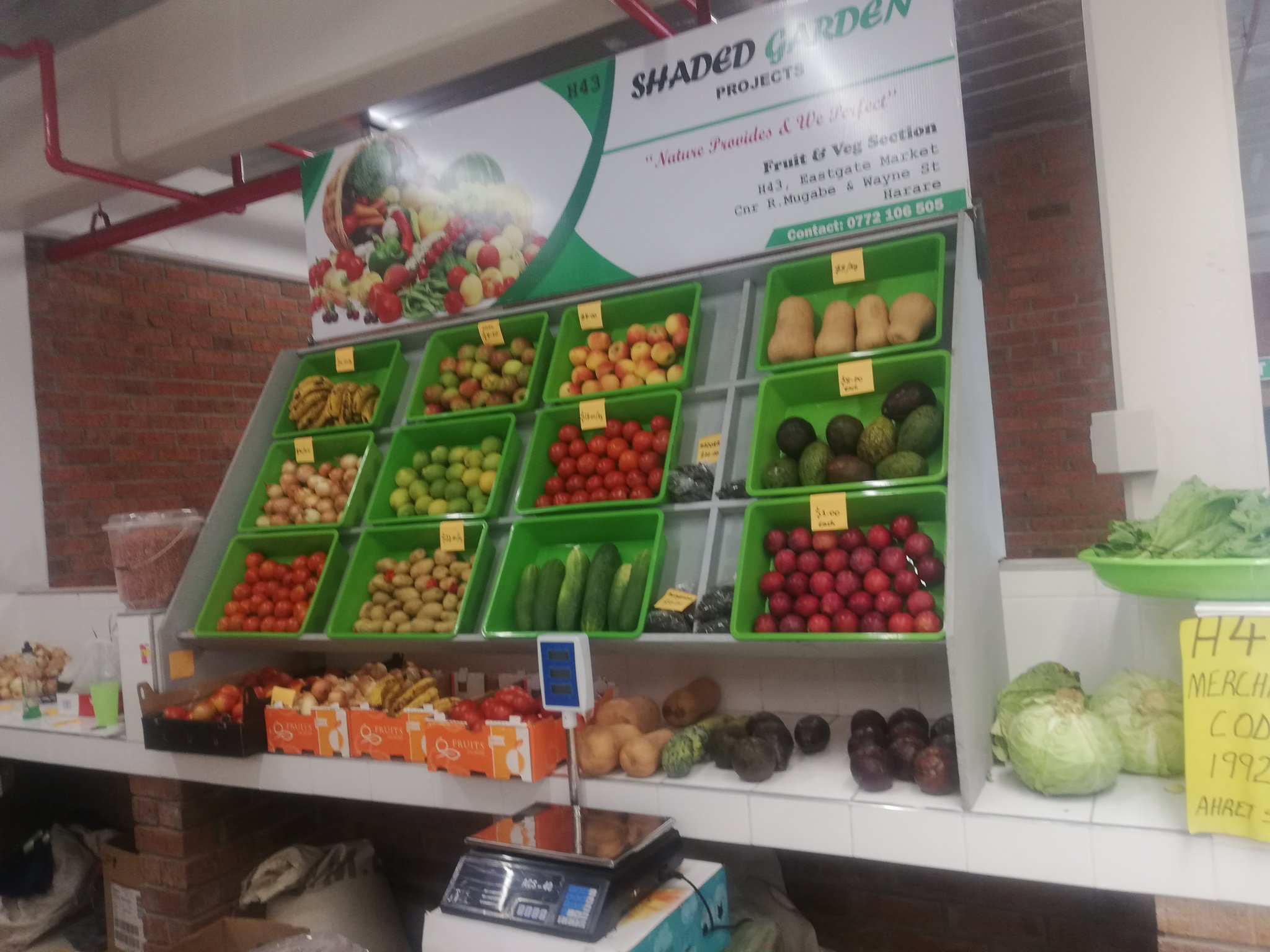 vegetable market