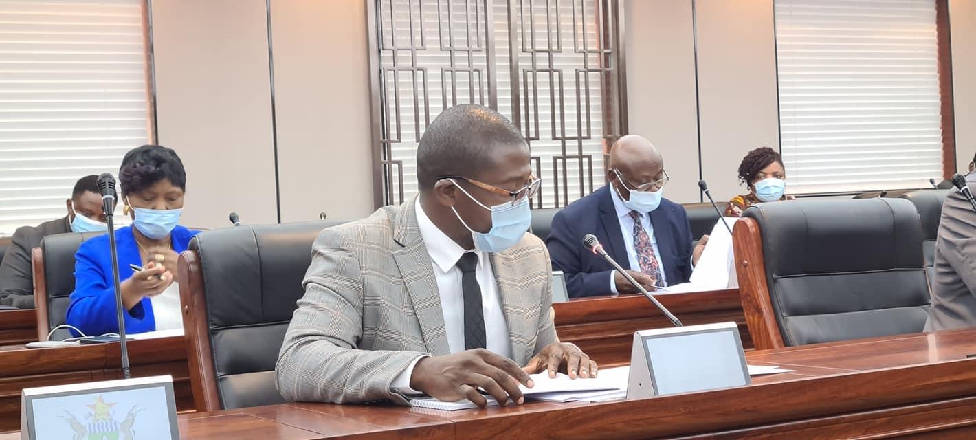 Tourism Minister Mangaliso Ndlovu