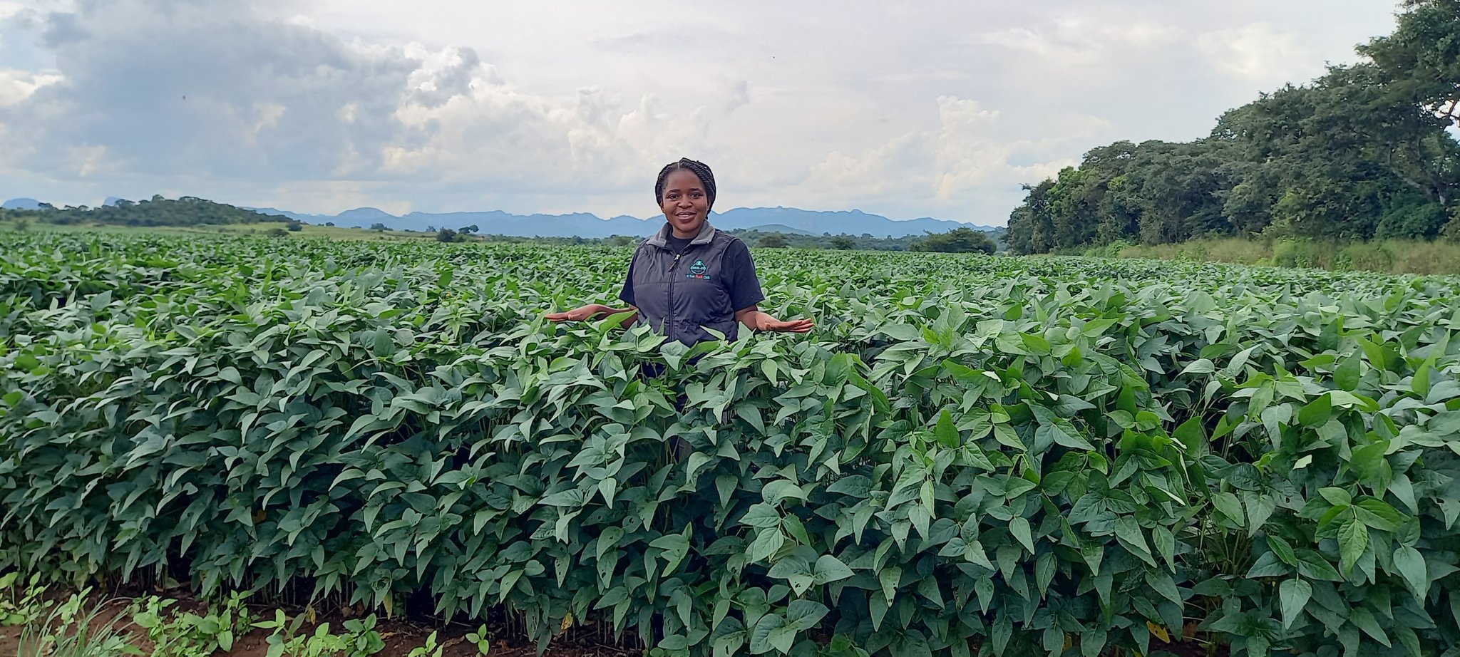 Cooperative agriculture drives change