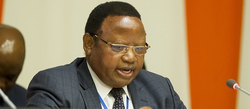 Minister Shava image