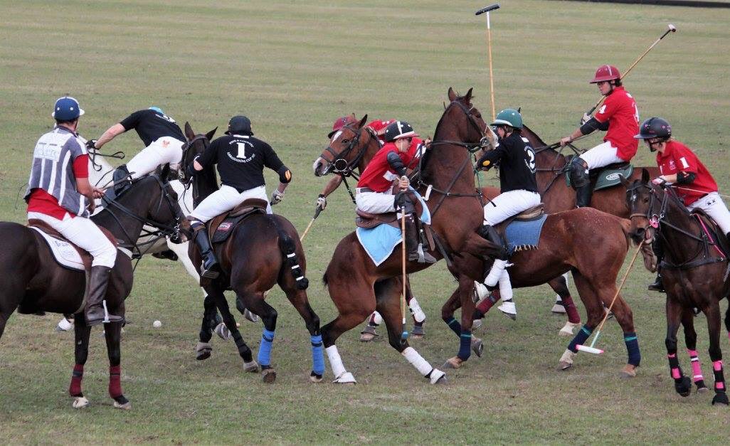 Polo