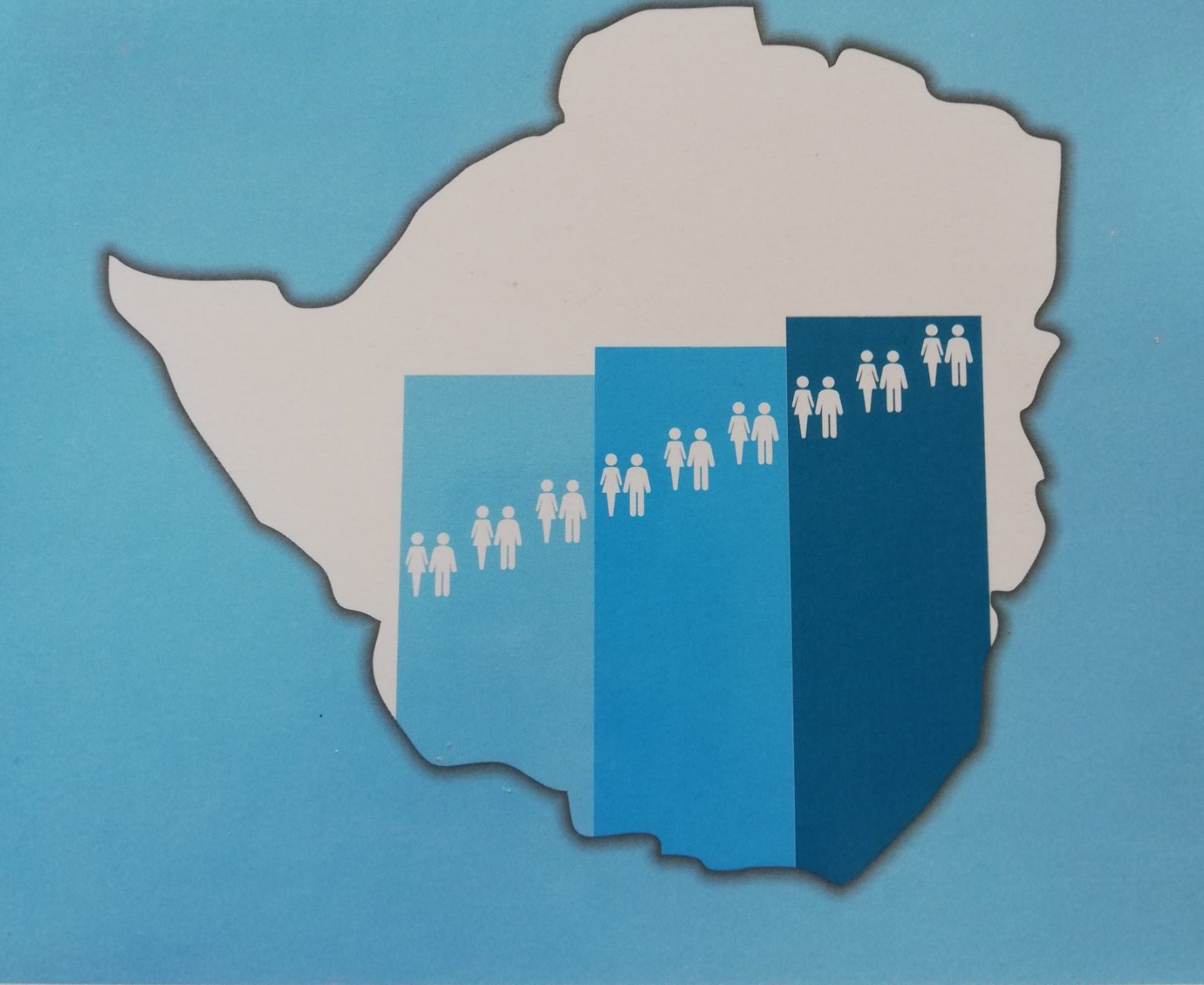 Zim census