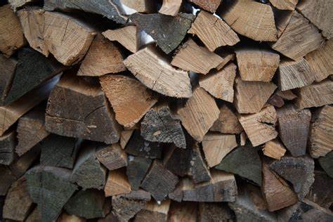 77 wood poachers nabbed in Midlands