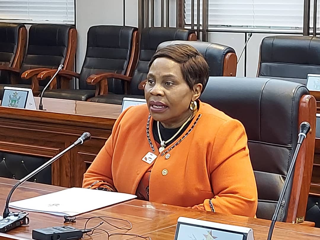 Minister Mutsvangwa