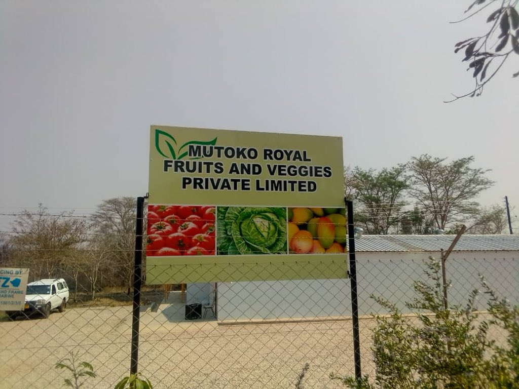 Mutoko Fruits and Vegetable plant