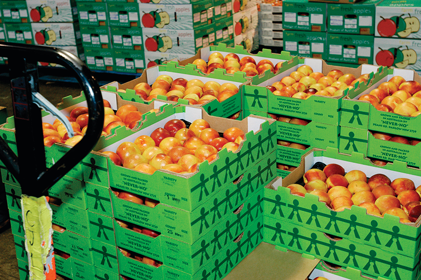 stone_6-01