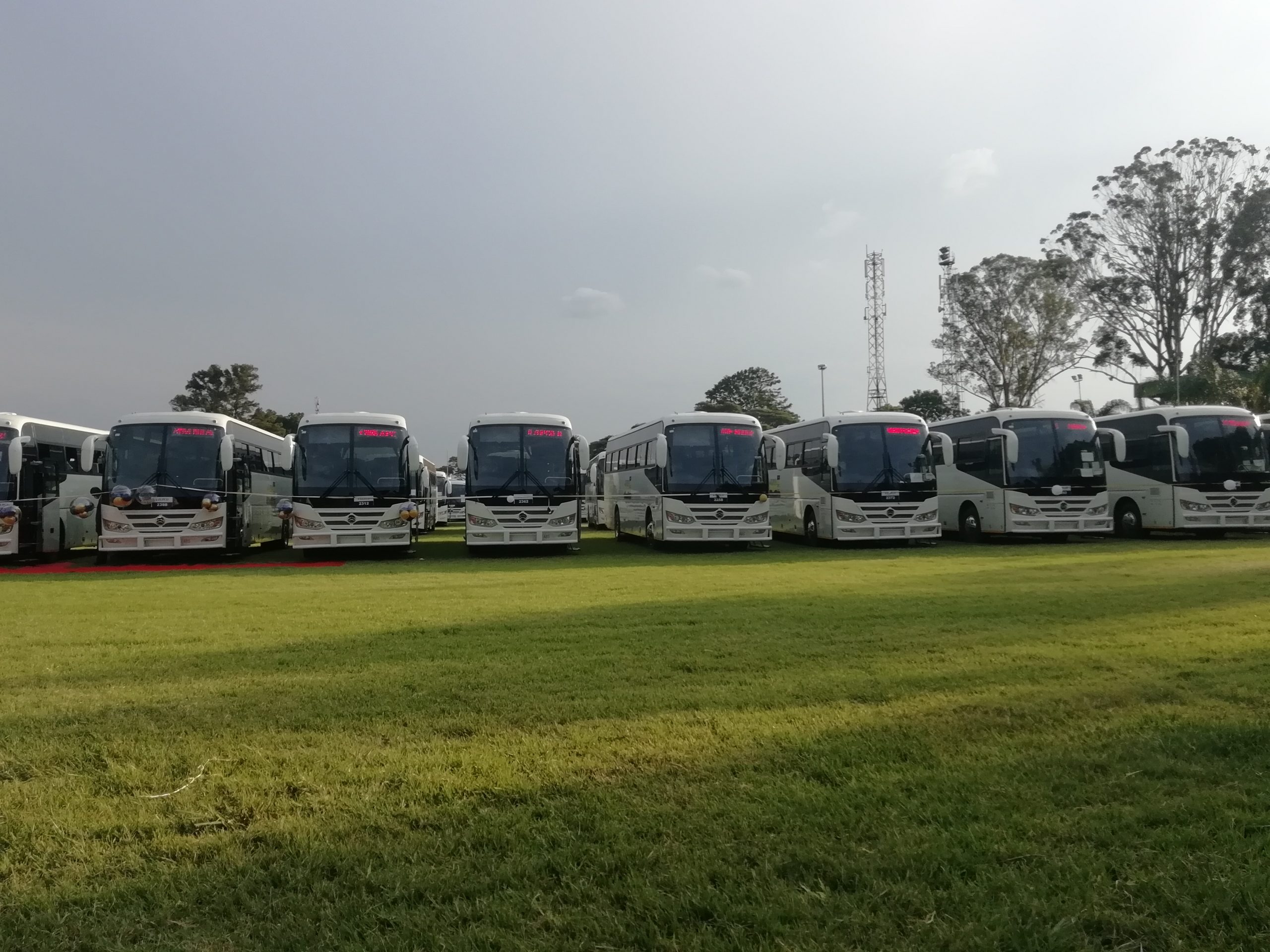 Govt to provide buses for school children