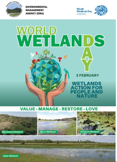 EMA Wetlands Day poster