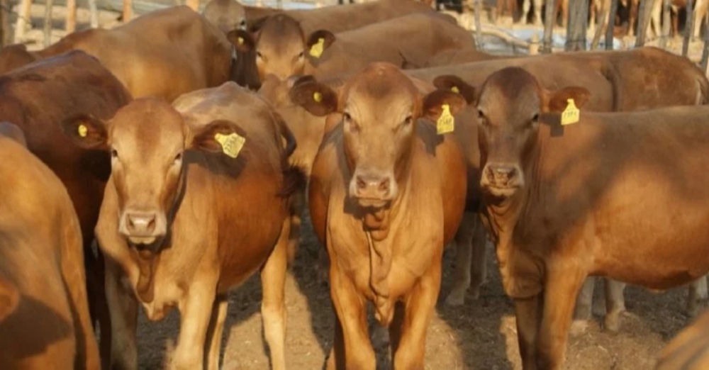 Screenshot_20220224_182314