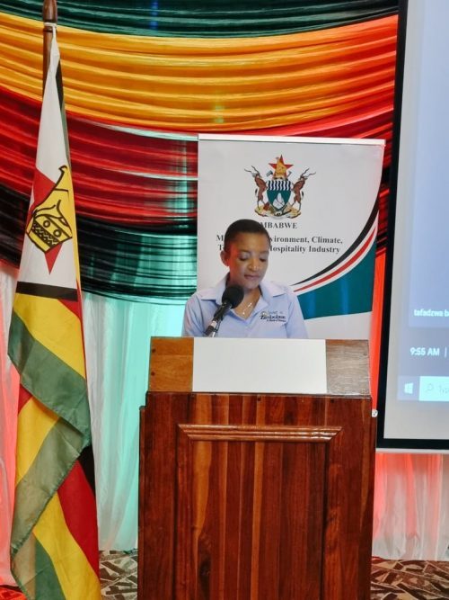 Zim tourist arrivals drop 40 percent