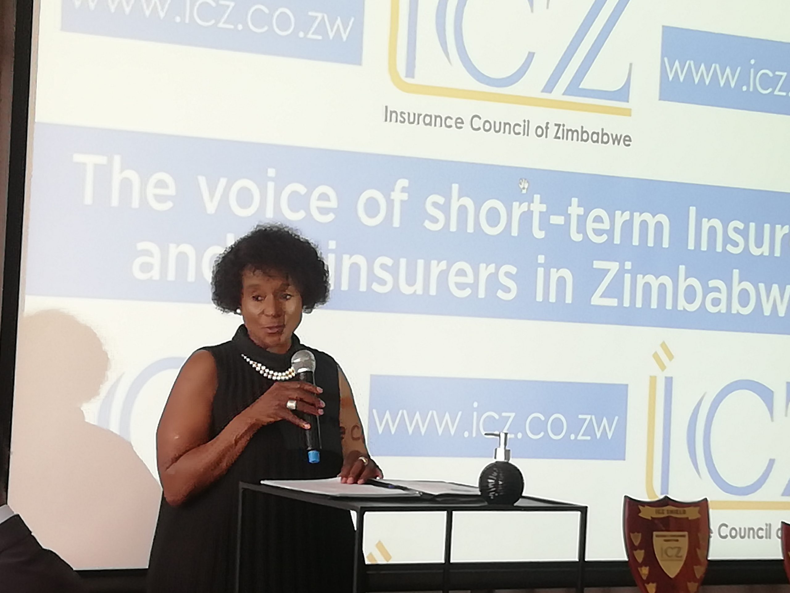 IPEC Commissioner Grace Muradzikwa