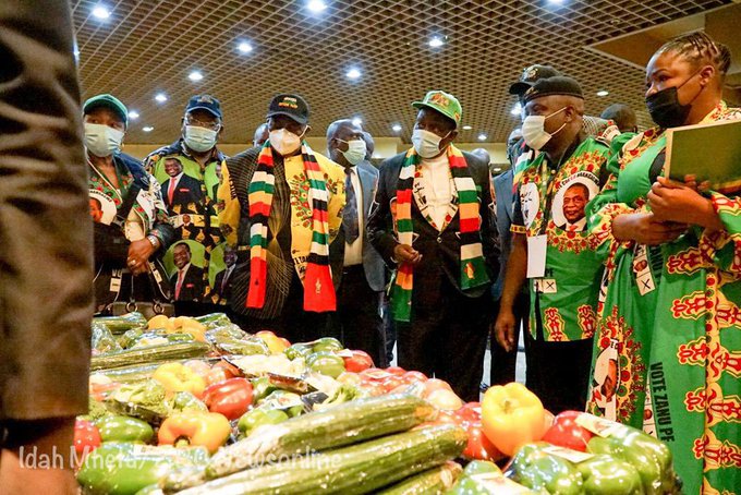 Zanu PF creates space for youths in Central Committee