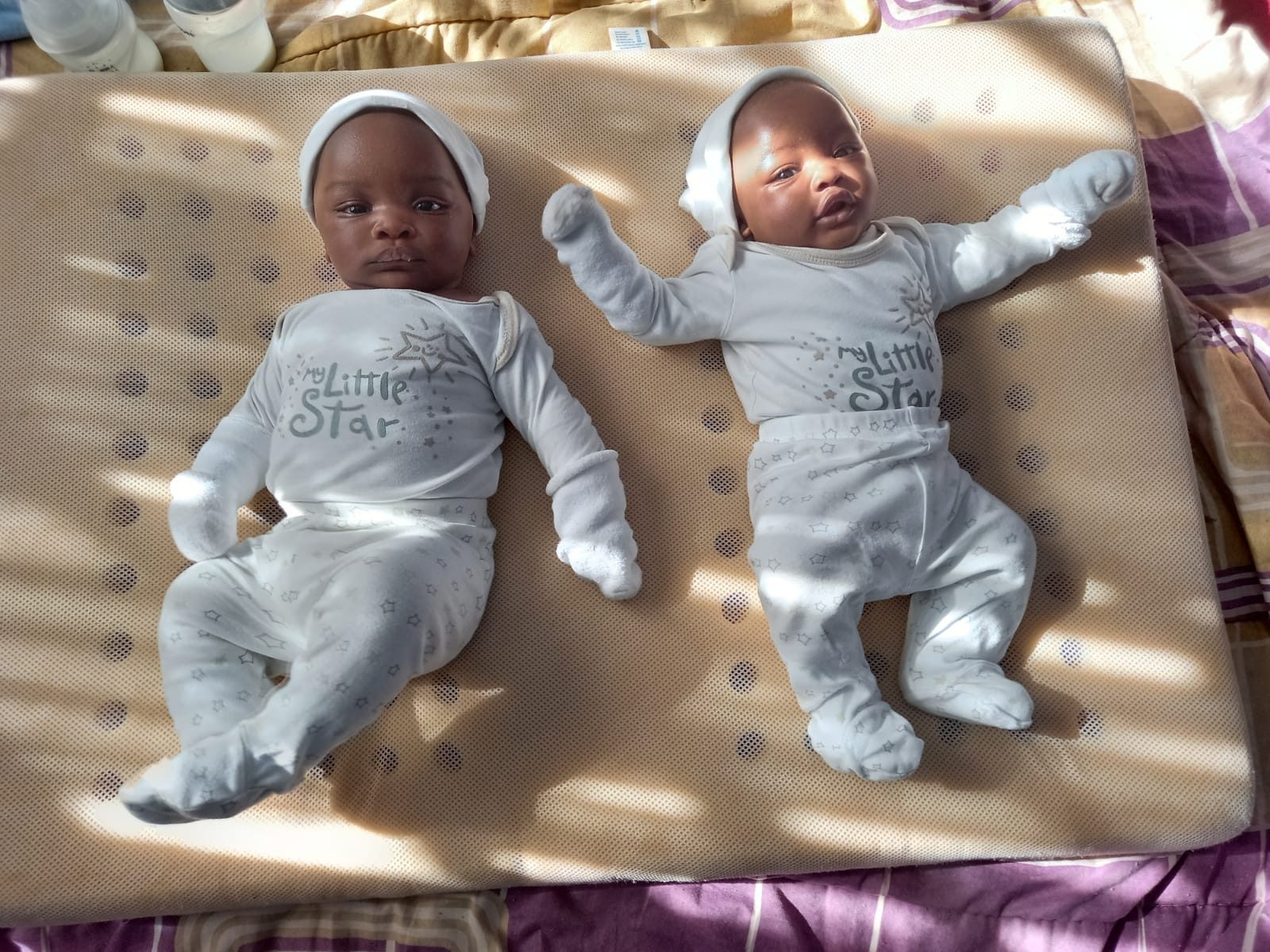 IVF programme twins