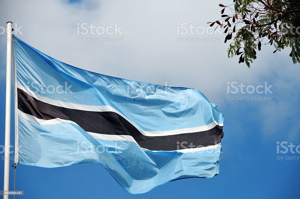 istockphoto-493594492-1024×1024