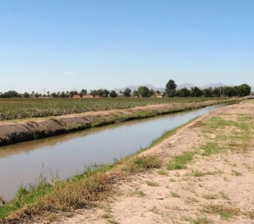 stream