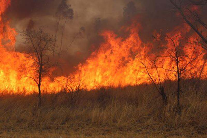 Communities urged to safeguard environment