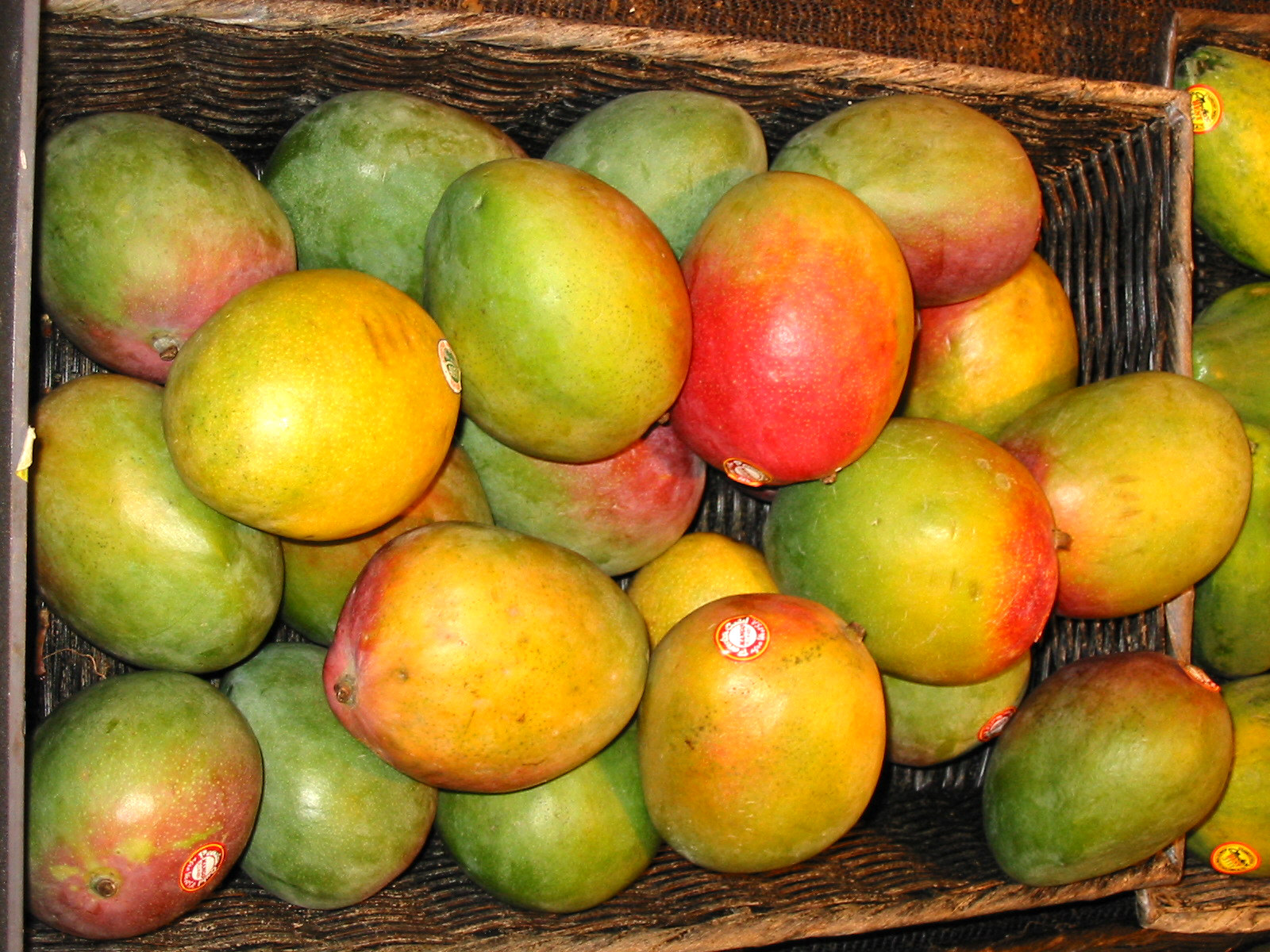 mango