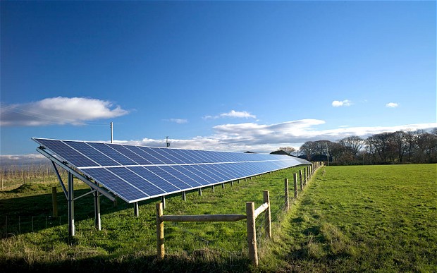 solar-farm