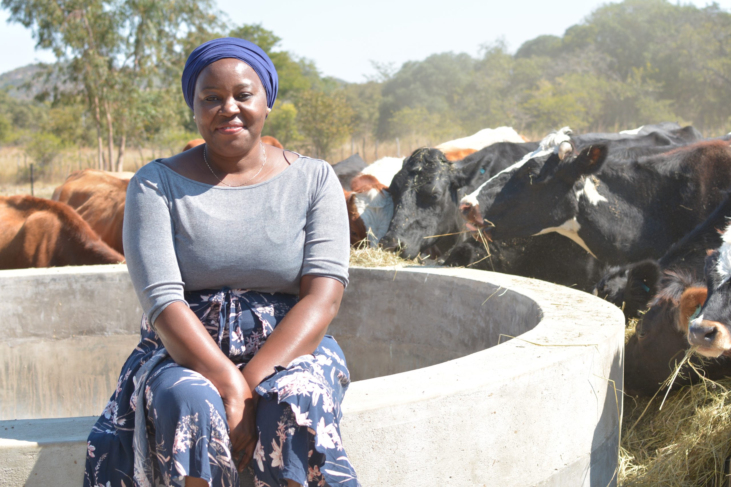 PPPs critical to Zimbabwe’s increased milk production
