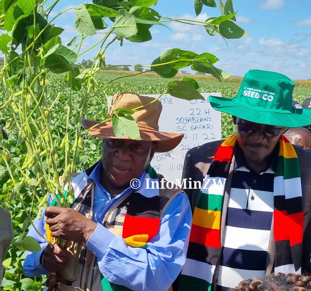 President Mnangagwa at his farm