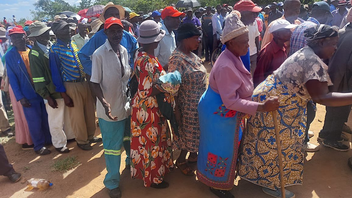 Zanu PF members voting in primary elections
