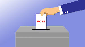 vote
