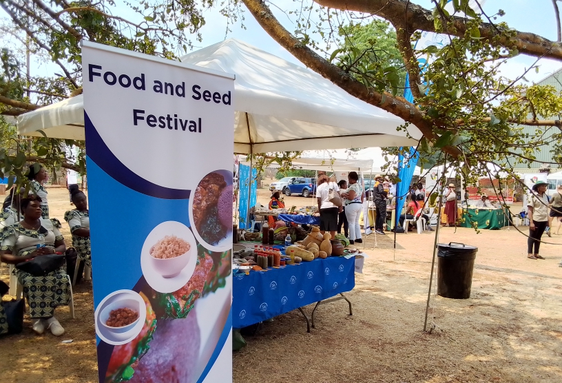 Government keen to promote small grains – official