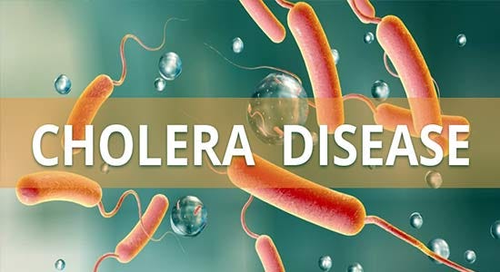 More cholera deaths, new cases recorded