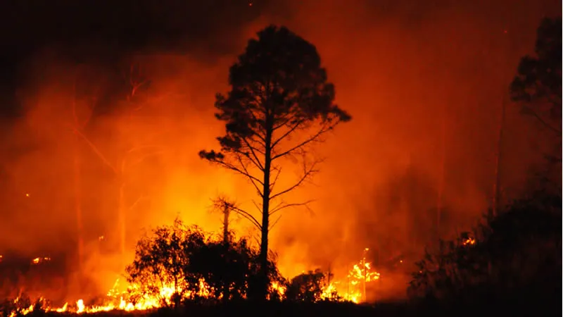 Fire razes down Chinhoyi property
