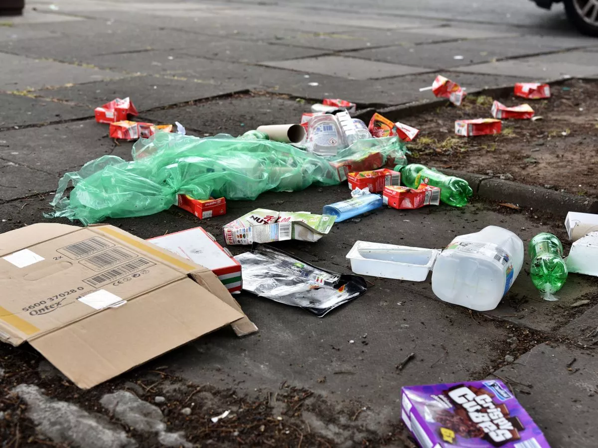 Litter