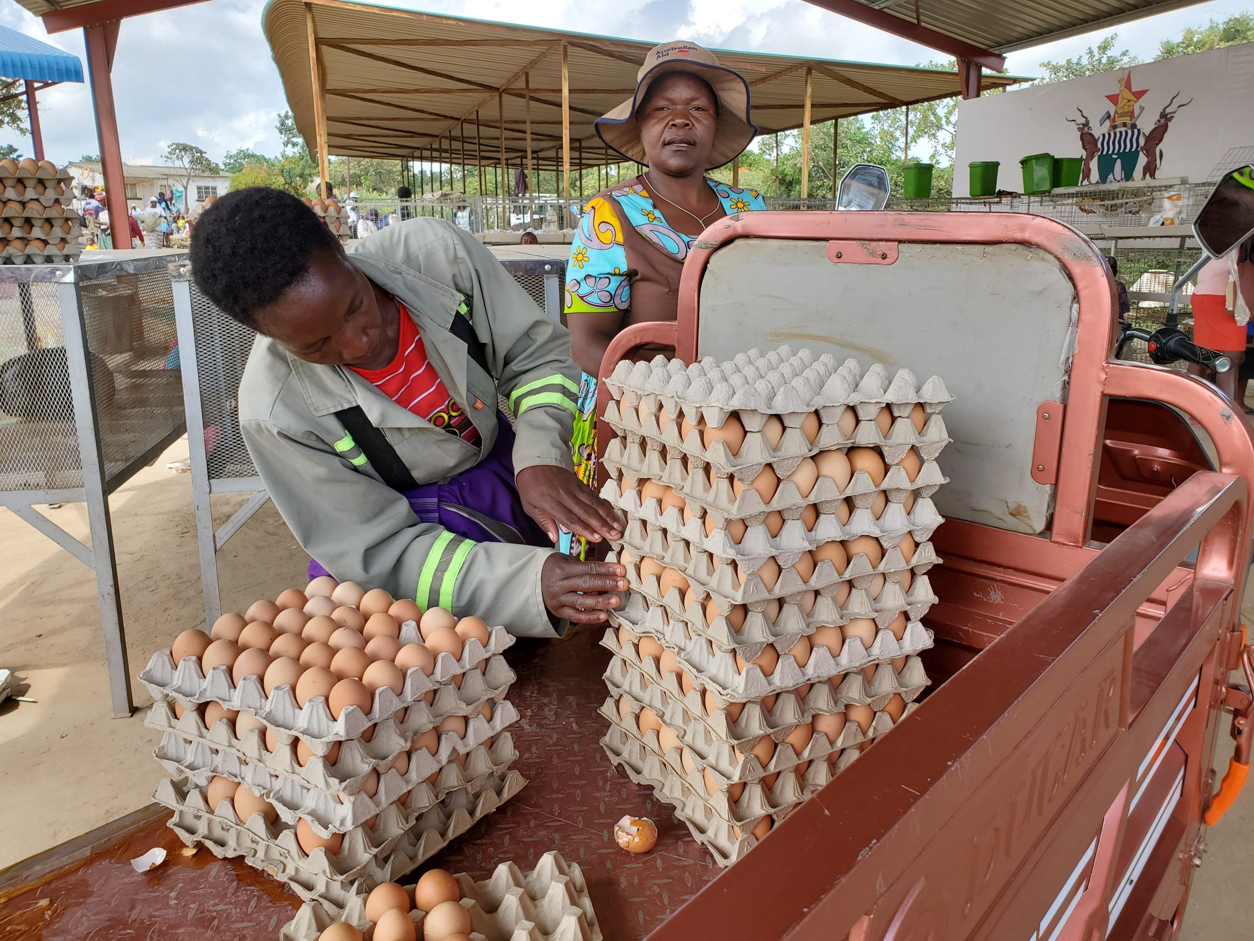Former inmates receive poultry starter packs