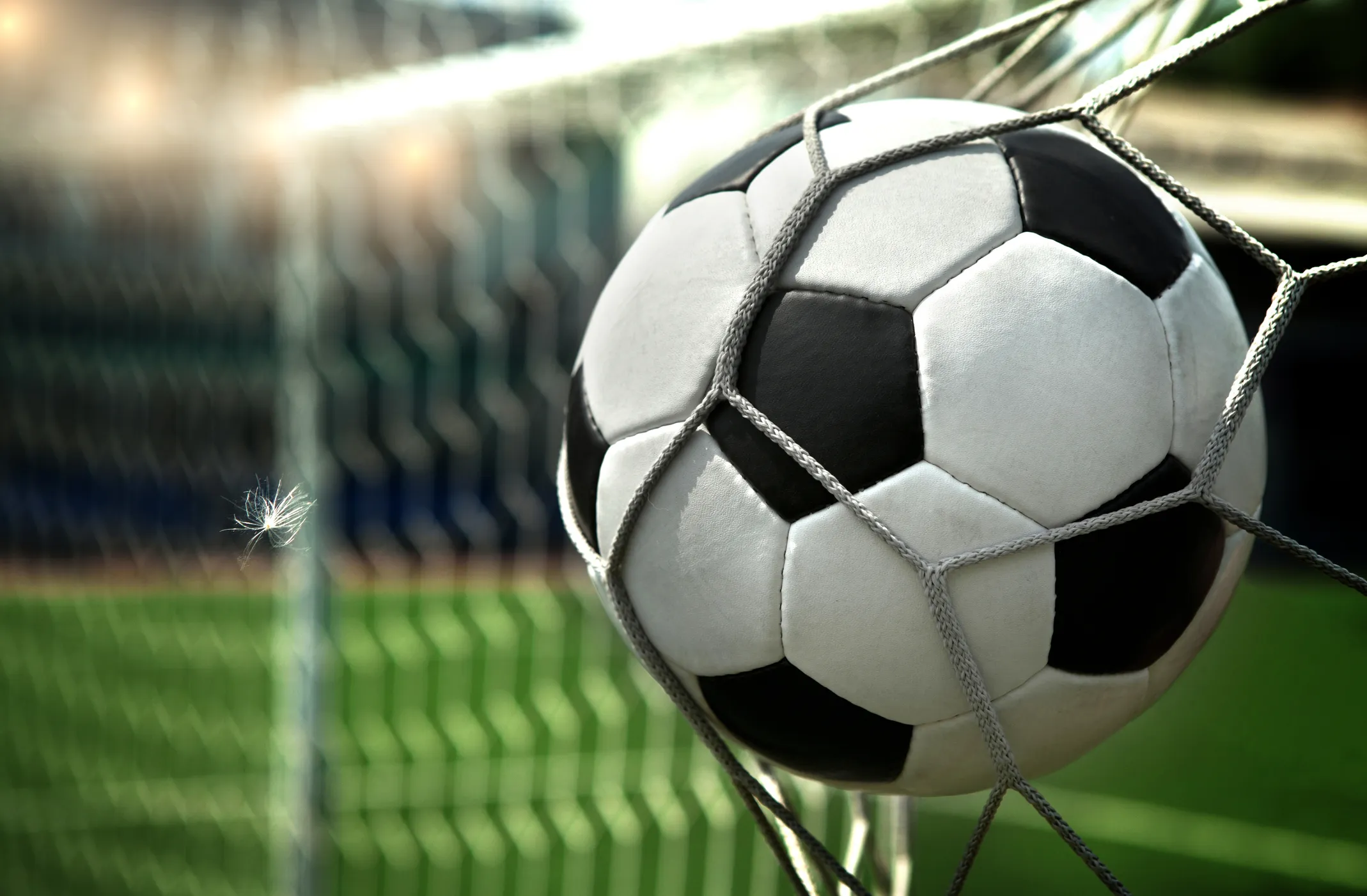 a800df3f-f34d-4e8a-8a62-d9f47c16acfc-soccer_ball