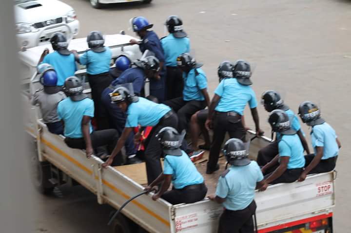 Chegutu cracks whip on vandalism