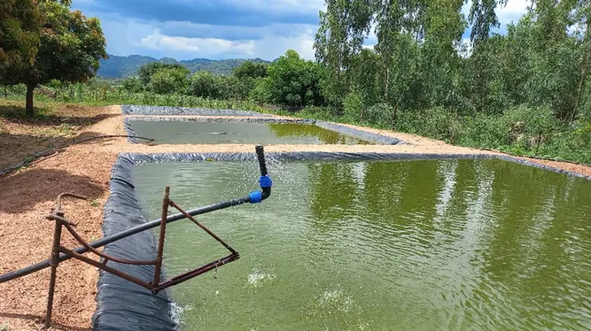 fish-ponds-under-construction-in-shamva-mashonaland-central-province-2