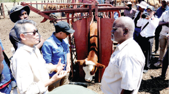 Zimbabwe gets cattle semen from Indonesia