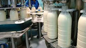 Pungwe-Pic-Cyanara Dairy cooperative poised for increased milk production through Government support